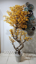 Yellow Cherry Blossom Tree